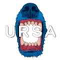 Ursa